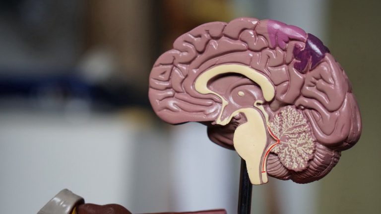 Reabilitação Neuropsicológica em Traumatismos Crânioencefálicos (TCE)
