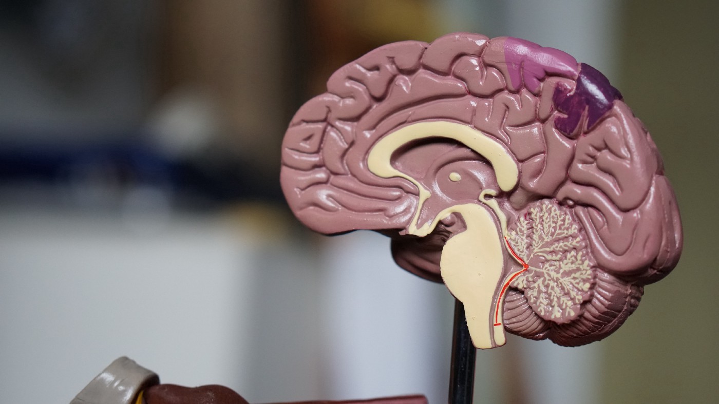 Reabilitação Neuropsicológica em Traumatismos Crânioencefálicos (TCE)